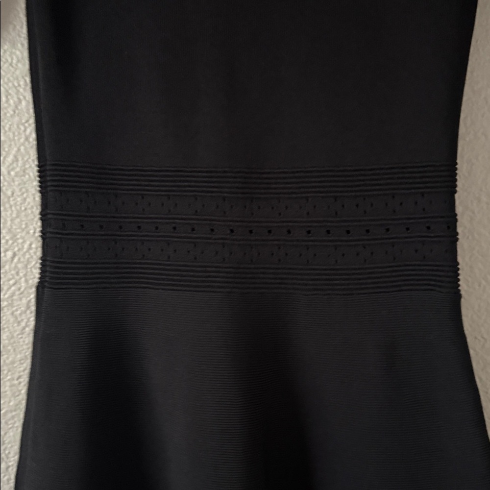 Sandro Rose and Bird Embroidery Paneled Knit Black Mesh Mini Fit Flare Dress 1 - Picture 14 of 14